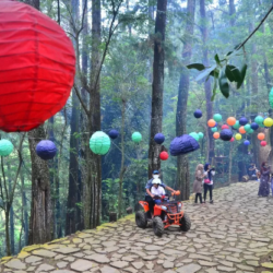 10 Tempat Wisata di Bogor: Menikmati Keindahan Alam dan Budaya