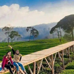 Tempat Wisata Murah di Bogor yang Recommended untuk Dikunjungi