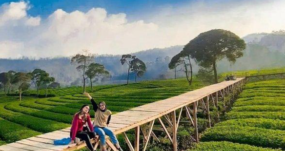 Tempat Wisata Murah di Bogor yang Recommended untuk Dikunjungi