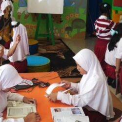 Budaya Literasi di Sekolah Dasar: Pentingnya Membangun Minat Baca pada Anak-anak