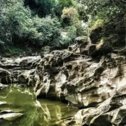 Wisata Alam di Jombang: Menikmati Keindahan Alam yang Menakjubkan
