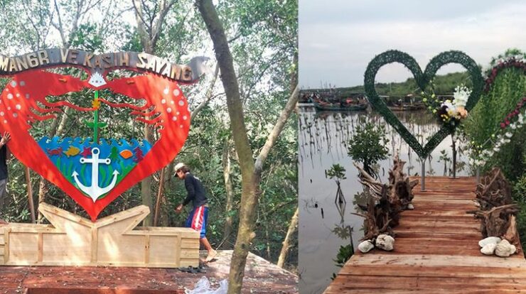 Wisata Zona Mangrove Kasih Sayang: Keajaiban Alam yang Menenangkan