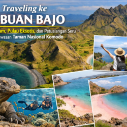 Pesona Alam, Pulau Eksotis, dan Petualangan Seru Menjelajahi Keindahan Labuan Bajo di Kawasan Taman Nasional Komodo
