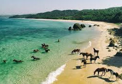 Surga Tersembunyi di Timur Indonesia: Pesona Wisata Pulau Sumba