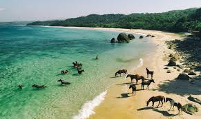 Surga Tersembunyi di Timur Indonesia: Pesona Wisata Pulau Sumba