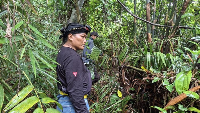 Sejarah Cagar Alam Depok, Peninggalan Cornelis Chastelein yang Bertahan Hingga Kini