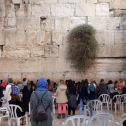 Pengertian, Sejarah, dan Perspektif Agama tentang Tembok Ratapan